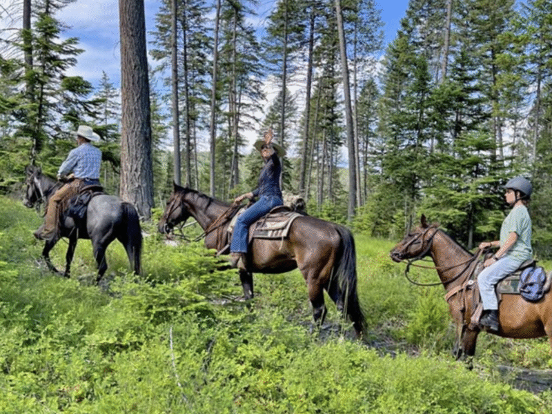 Bar W Guest Ranch – Whitefish, MT